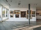 Aukce umní Adolf Loos Apartment and Gallery se uskutení v nové výstavní síni...