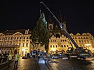 Na Staromstské námstí dorazil vánoní strom z Jablonecka. (23.11.2021)