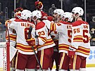 Dan Vlada pijímá gratulace od spoluhrá z Calgary Flames.
