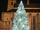 Vánoční strom svítí na náměstí Republiky od první adventní neděle. (28. 11....