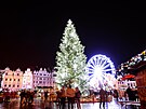Letošní vánoční strom na náměstí Republiky v Plzni je 15 metrů vysoký a září v...