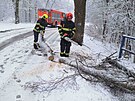 Sníh zpsobil problémy zejména na jiní Morav. (28. listopadu 2021)