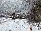 Sníh zpsobil problémy zejména na jiní Morav. (28. listopadu 2021)