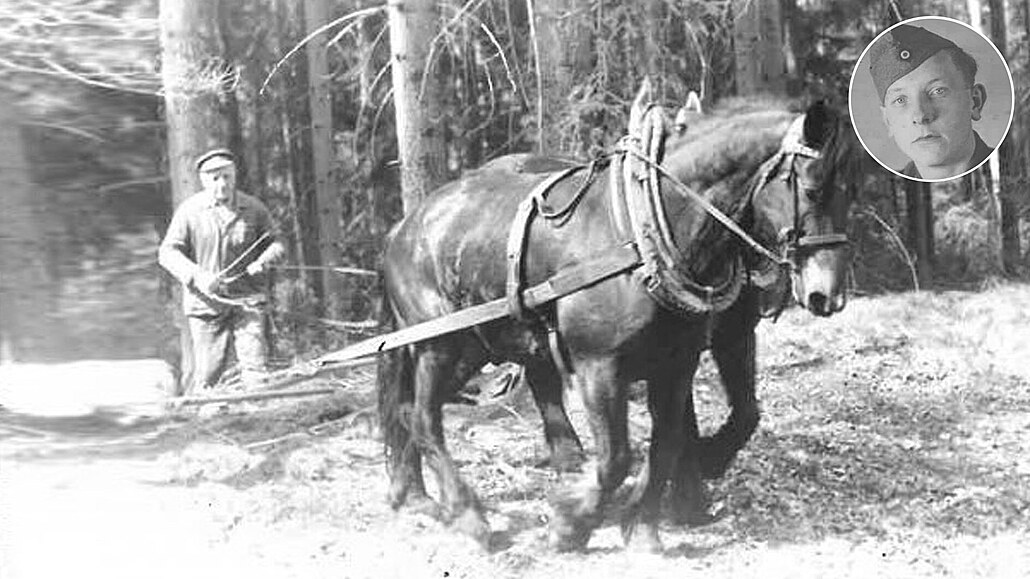Karel Zimmel pracoval s koňmi za války i po ní, těžil s nimi dřevo v lese....