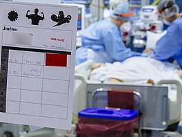 Nemocnice v Uherském Hraditi zaívá covidové déj&#224; vu. Opt omezují...