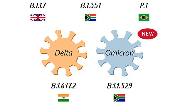 Varianty koronaviru. Poslední, nazvanou omikron objevili v Jihoafrické republice..