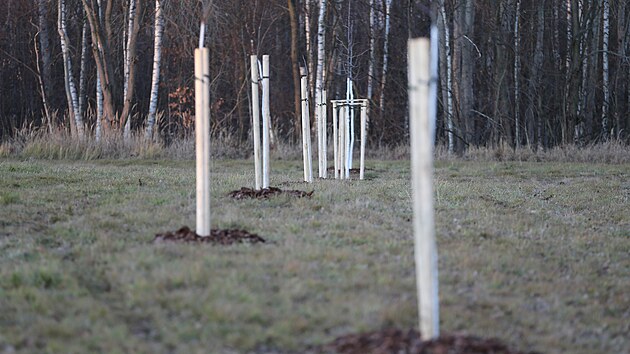 U cyklostezky do P�vova vznikl zcela nov� m�stsk� ovocn� sad. Vysazeno zde bylo celkem 27 mlad�ch stromk�.