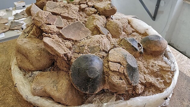 Jeden z rovch hrob s ndobkami.Archeologov jej vyzvedli ve Svinianech a pedali do laboratoe hradeck univerzity (28. 7. 2021).