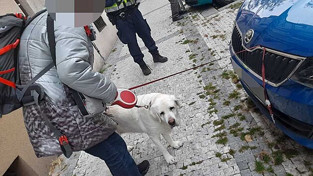 Seniorce se při venčení psa zaklínilo vodítko pod kapotu zaparkovaného auta a nešlo vytáhnout. (23. listopadu 2021)