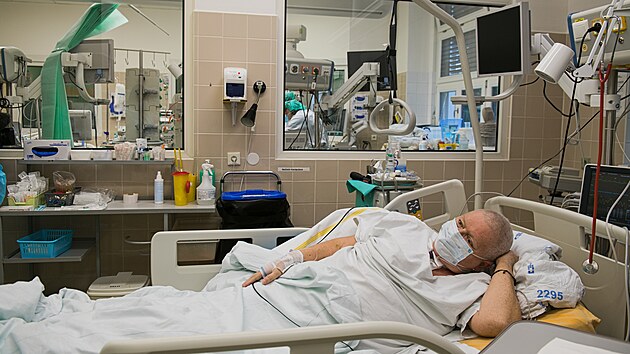 Mezi pacienty na klinice infeknch chorob Fakultn nemocnice Brno je i Libue Kratochvlov. Okovan je, ale kvli rakovin musela podstoupit chemoterapii.