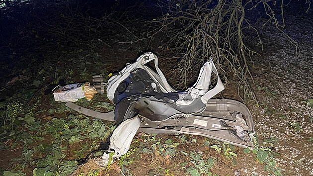 Řidič narazil v ulici K Uhříněvsi v Praze do stromu, střet nepřežil (29. 11. 2021)