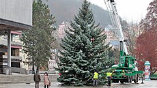 Kácení a p�evoz váno�ního stromu pro Karlovy Vary z Drahovic p�ed hotel...