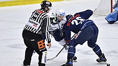 Utkání 26. kola hokejové extraligy: Bílí Tygři Liberec - HC Škoda Plzeň. Zleva...