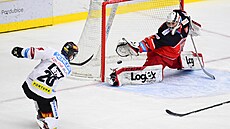 Utkání 26. kola hokejové extraligy: Mountfield Hradec Králové - HC Sparta...