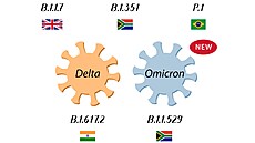 Varianty koronaviru. Poslední, nazvanou omikron objevili v Jihoafrické...