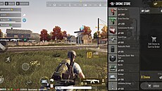 PUBG New State