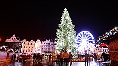 Letoní vánoní strom na námstí Republiky v Plzni je 15 metr vysoký a záí v...