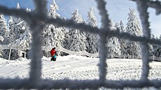 Zasn�ená krajina v Janských Lázních v Krkono�ích. (27. listopadu 2021)