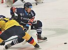 Hokejová extraliga, 28. kolo, HC Vítkovice Ridera - HC Motor eské Budjovice....