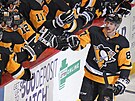 Kapitána Pittsburghu Sidneyho Crosbyho vlastní nová spolenost. Hokejový klub...