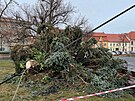 Ve Slaném se pod náporem vtru zlomil vánoní strom na námstí (30 .11. 2021)