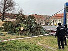 Ve Slaném se pod náporem vtru zlomil vánoní strom na námstí (30 .11. 2021)