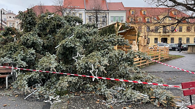 Ve Slanm se pod nporem vtru zlomil vnon strom na nmst (30 .11. 2021)