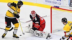 Utkání 28. kola hokejové extraligy: Mountfield Hradec Králové - HC Verva...