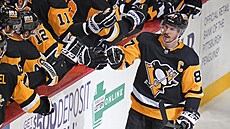 Kapitána Pittsburghu Sidneyho Crosbyho vlastní nová společnost. Hokejový klub... | na serveru Lidovky.cz | aktuální zprávy