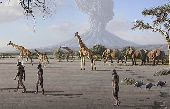 Nová zjitní naznaují, e druh Australopithecus afarensis, nebyl jediným...