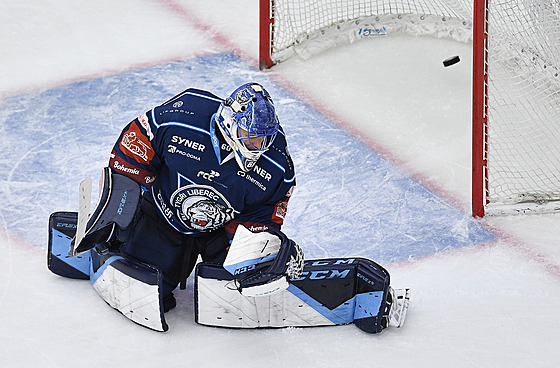 Utkání 28. kola hokejové extraligy: Bílí Tygi Liberec - HC Kometa Brno....