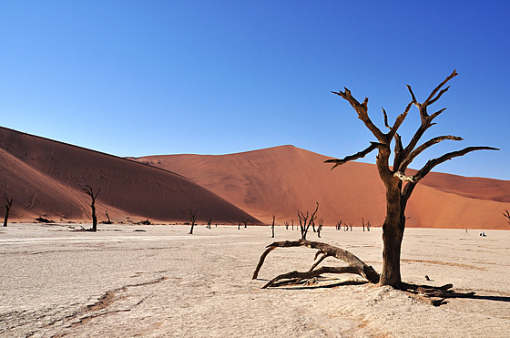 Nejkrásnjí fotky se v pouti Namib dlaly kolem poledne, kdy u vtina...