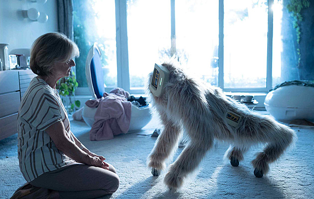 Dámská jízda. Do Benátek míří Běžná selhání s Taťjanou Medveckou