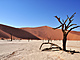 Nejkrsnj fotky se v pouti Namib dlaly kolem poledne, kdy u vtina...