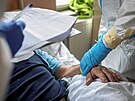Zdravotníci peují o pacienta s koronavirem v nemocnici v polských Gliwicích....
