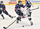 29. kolo hokejové extraligy: HC koda Plze - HC Energie Karlovy Vary. Zleva...