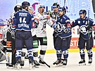 29. kolo hokejové extraligy: HC koda Plze - HC Energie Karlovy Vary....