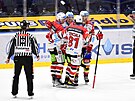 Utkání 29. kola hokejové extraligy: HC Dynamo Pardubice - HC Ocelái Tinec....