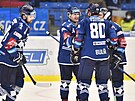 29. kolo hokejové extraligy: HC koda Plze - HC Energie Karlovy Vary. Radost...