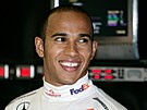 Lewis Hamilton svoji senzaní novákovskou sezonu k titulu nedotáhl, mistrem...