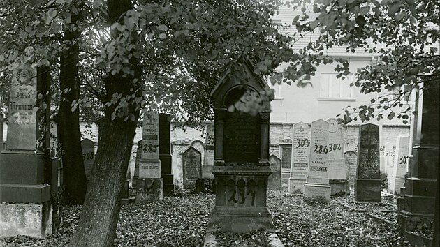 Foto p�vodn�ho �idovsk�ho h�bitova v Prost�jov� z obdob� p�ed v�lkou.