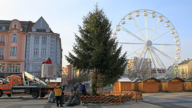 Pořadatelé Ostravských Vánoc se rozhodli strom odstranit