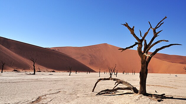Nejkrásnější fotky se v poušti Namib dělaly kolem poledne, když už většina ranních lovců záběrů byla pryč. 