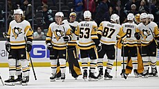 Hokejisté Pittsburghu slaví vítzství.