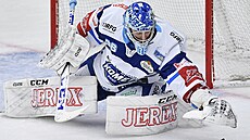 Utkání 28. kola hokejové extraligy: Bílí Tygři Liberec - HC Kometa Brno....