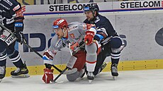 Hokejov extraliga, 29. kolo, Vtkovice - Hradec Krlov. Tobias Lindberg z...