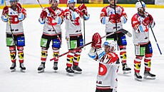 Utkání 29. kola hokejové extraligy: HC Dynamo Pardubice - HC Oceláři Třinec....