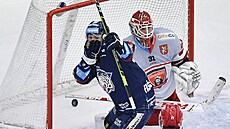 Utkání 31. kolo hokejové extraligy: Bílí Tyg�i Liberec - Mountfield Hradec...