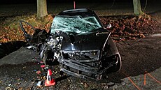 Osmnáctiletá řidička pravděpodobně kvůli nepřiměřené rychlosti narazila autem...
