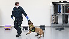 Heřmanice, 2. 12. 2021: Nová hala pro výcvik psů celní správy za 45 milionů